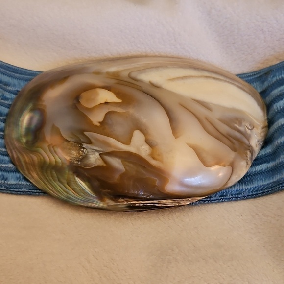 Vtg 1970s Tropical Shell World Blue Stretch Abalone Buckle Mermaid Festival Belt main image 7